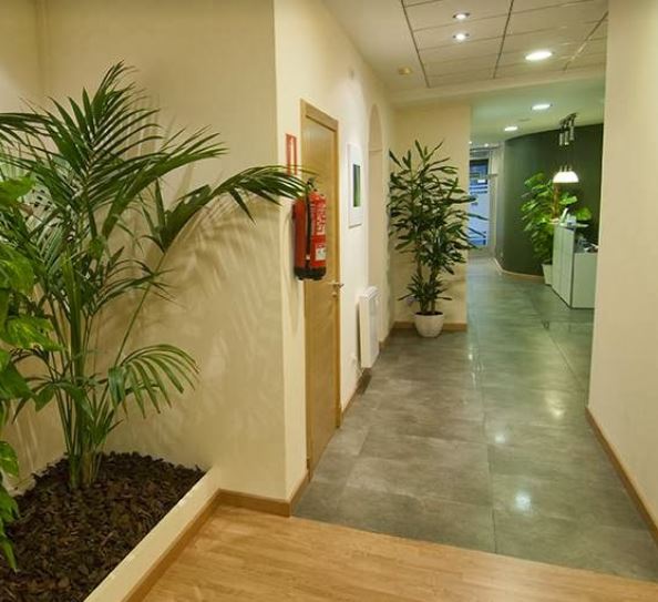 Galería de imágenes